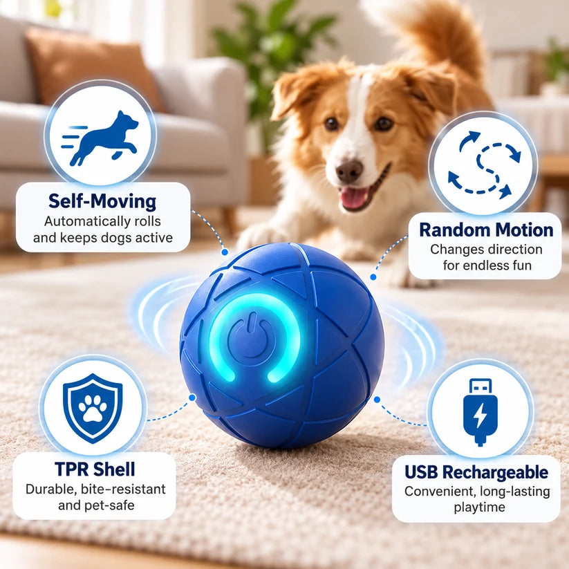 🔥Last day 50% OFF-Self-Moving Interactive Dog Ball – USB Rechargeable Pet Toy🐾