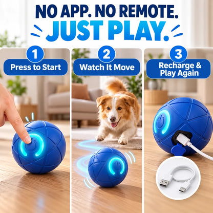 🔥Last day 50% OFF-Self-Moving Interactive Dog Ball – USB Rechargeable Pet Toy🐾