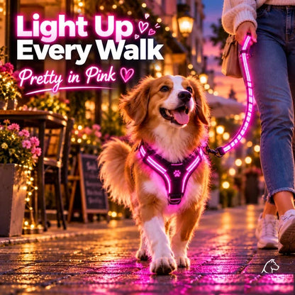 🐾 LED Light-Up Dog Harness & Leash Set – High-Visibility Gear for Night Walks 🌙