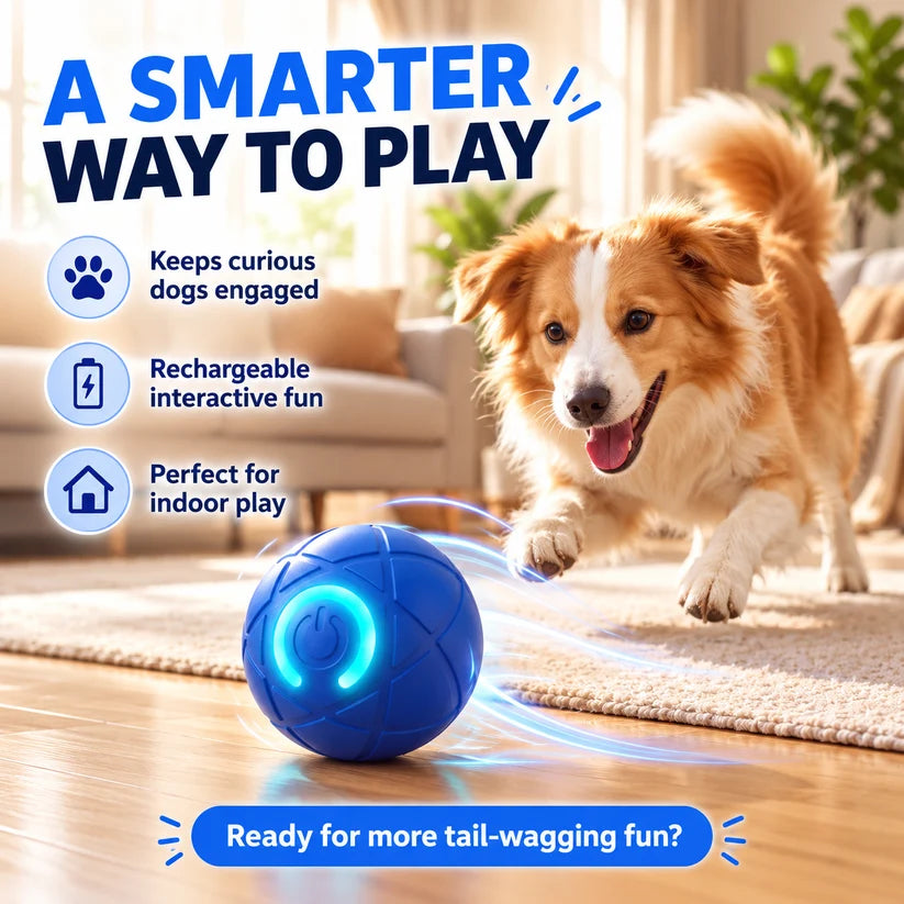 🔥Last day 50% OFF-Self-Moving Interactive Dog Ball – USB Rechargeable Pet Toy🐾