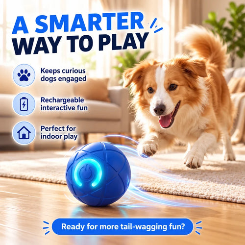 🔥Last day 50% OFF-Self-Moving Interactive Dog Ball – USB Rechargeable Pet Toy🐾