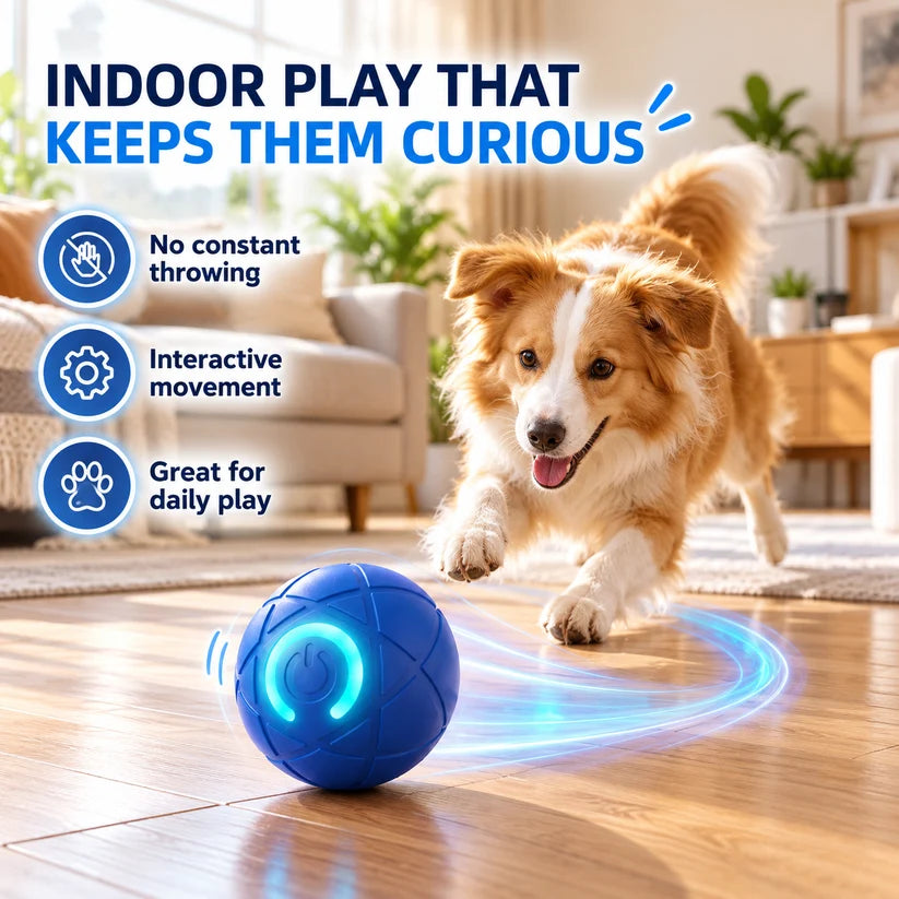 🔥Last day 50% OFF-Self-Moving Interactive Dog Ball – USB Rechargeable Pet Toy🐾