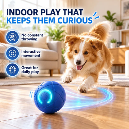 🔥Last day 50% OFF-Self-Moving Interactive Dog Ball – USB Rechargeable Pet Toy🐾