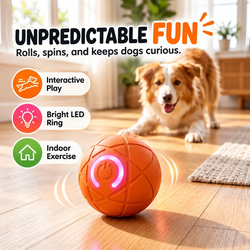 🔥Last day 50% OFF-Self-Moving Interactive Dog Ball – USB Rechargeable Pet Toy🐾