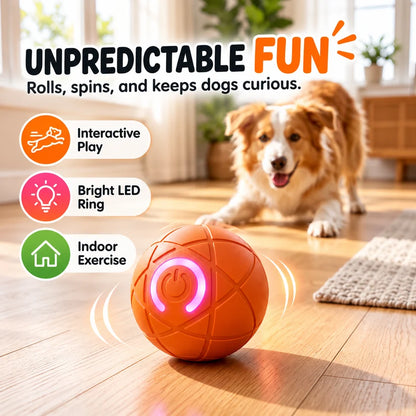🔥Last day 50% OFF-Self-Moving Interactive Dog Ball – USB Rechargeable Pet Toy🐾