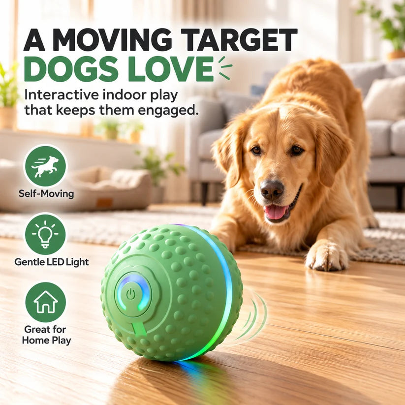 🔥Last day 50% OFF-Self-Moving Interactive Dog Ball – USB Rechargeable Pet Toy🐾