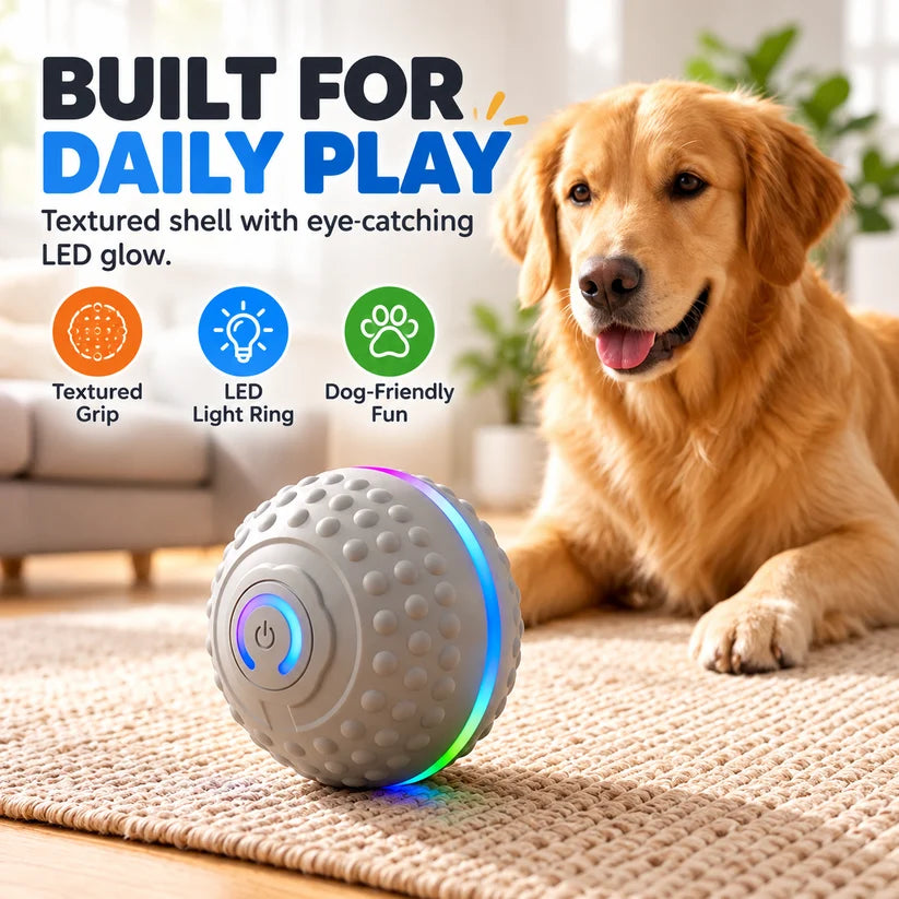 🔥Last day 50% OFF-Self-Moving Interactive Dog Ball – USB Rechargeable Pet Toy🐾