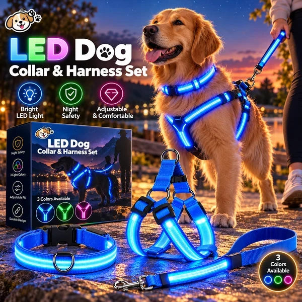 🐾 LED Light-Up Dog Harness & Leash Set – High-Visibility Gear for Night Walks 🌙