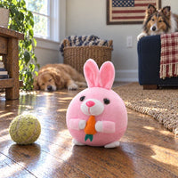 Pink Rabbit