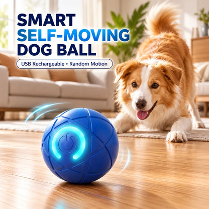 🔥Last day 50% OFF-Self-Moving Interactive Dog Ball – USB Rechargeable Pet Toy🐾