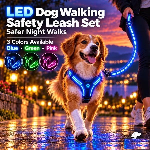 🐾 LED Light-Up Dog Harness & Leash Set – High-Visibility Gear for Night Walks 🌙