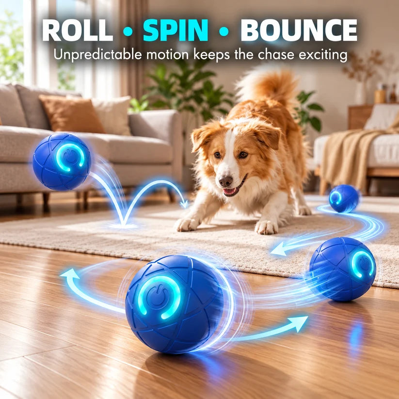 🔥Last day 50% OFF-Self-Moving Interactive Dog Ball – USB Rechargeable Pet Toy🐾