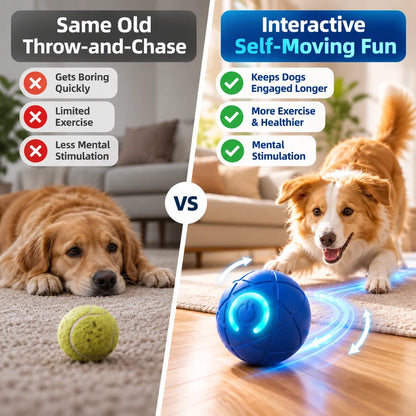 🔥Last day 50% OFF-Self-Moving Interactive Dog Ball – USB Rechargeable Pet Toy🐾