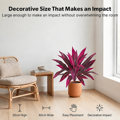 🎁 Hot 🌿 Realistic Boston Fern & Dragon's Blood Tree Faux Plants